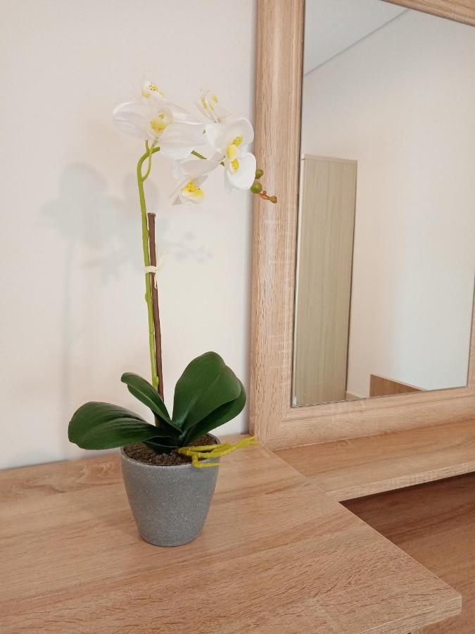 Roses 2 Apartman Szkála Szotírosz Kültér fotó